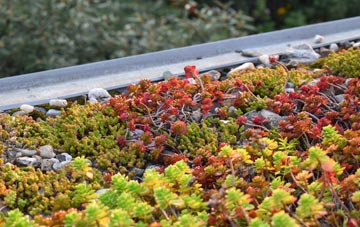 the cost of Nateby green roof installation