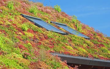Nateby living roof systems