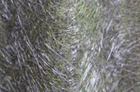 Nateby fibreglass roof work